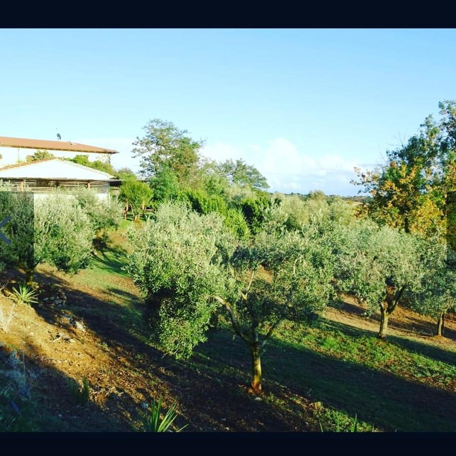 Agriturismo Colleverde 卡帕尔比奥 外观 照片