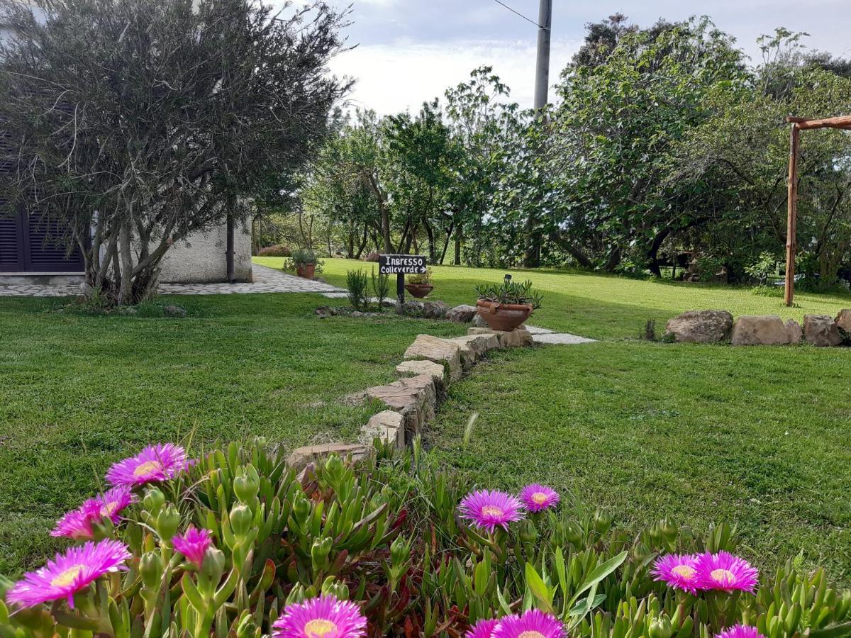 Agriturismo Colleverde 卡帕尔比奥 外观 照片