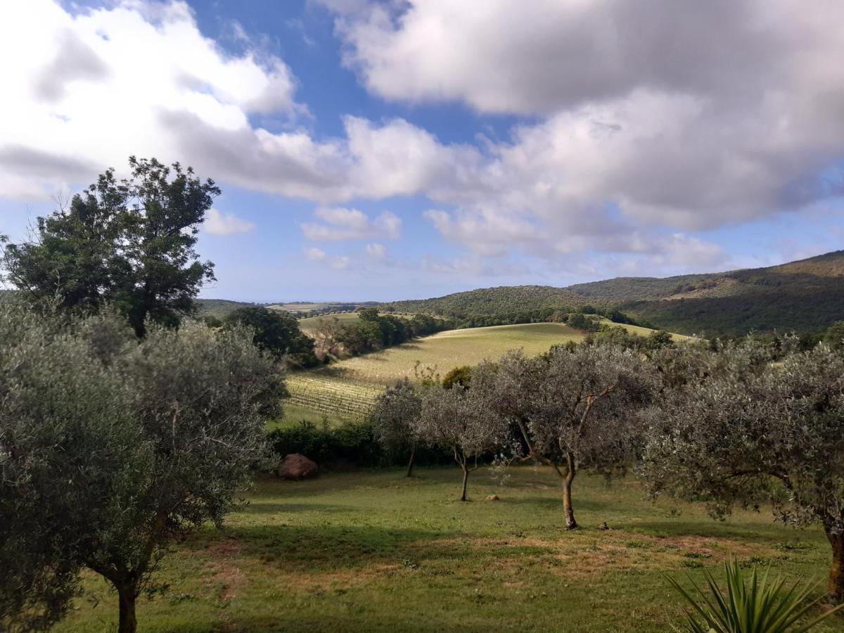 Agriturismo Colleverde 卡帕尔比奥 外观 照片