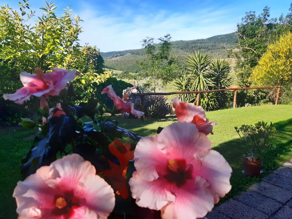 Agriturismo Colleverde 卡帕尔比奥 外观 照片