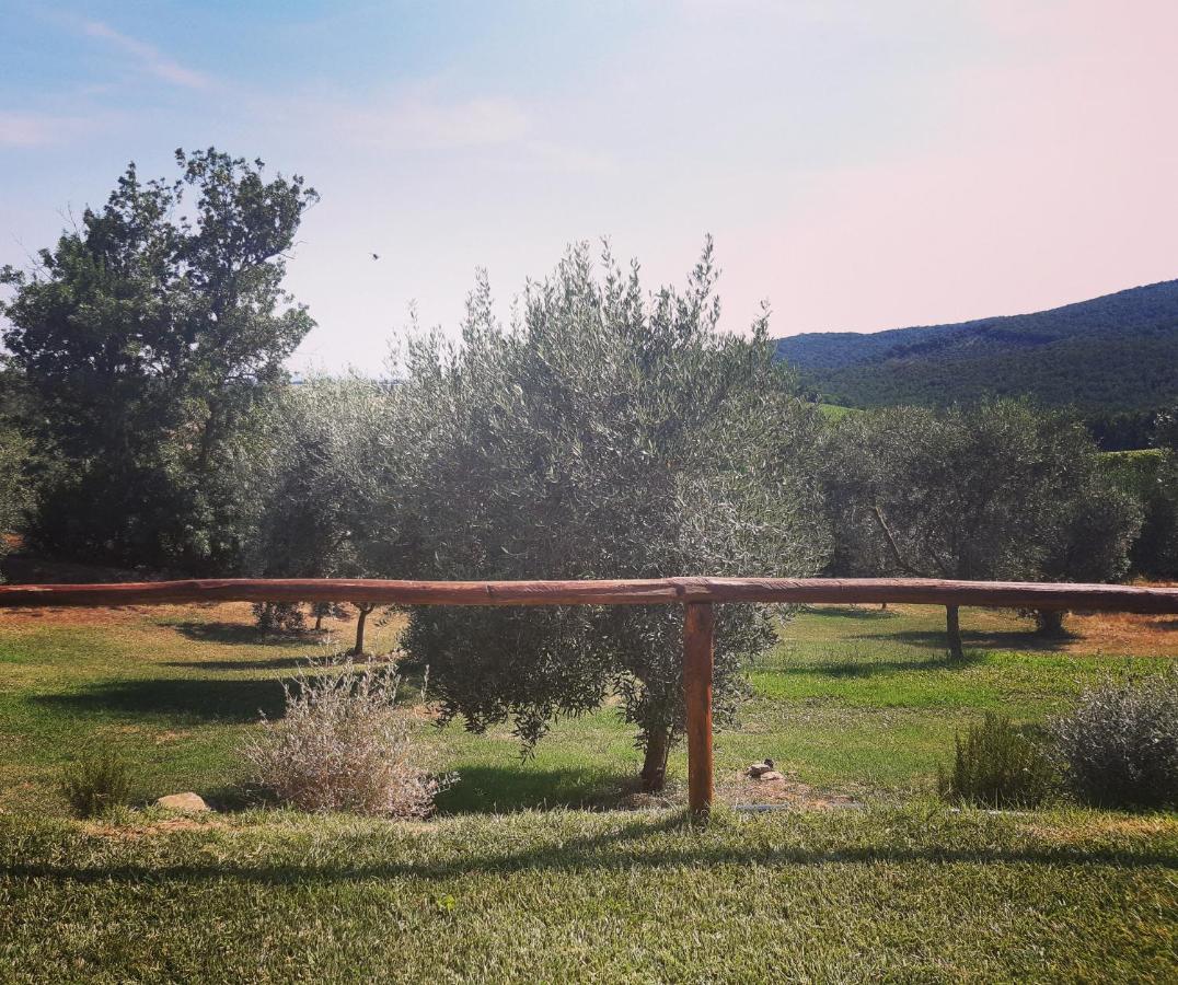 Agriturismo Colleverde 卡帕尔比奥 外观 照片