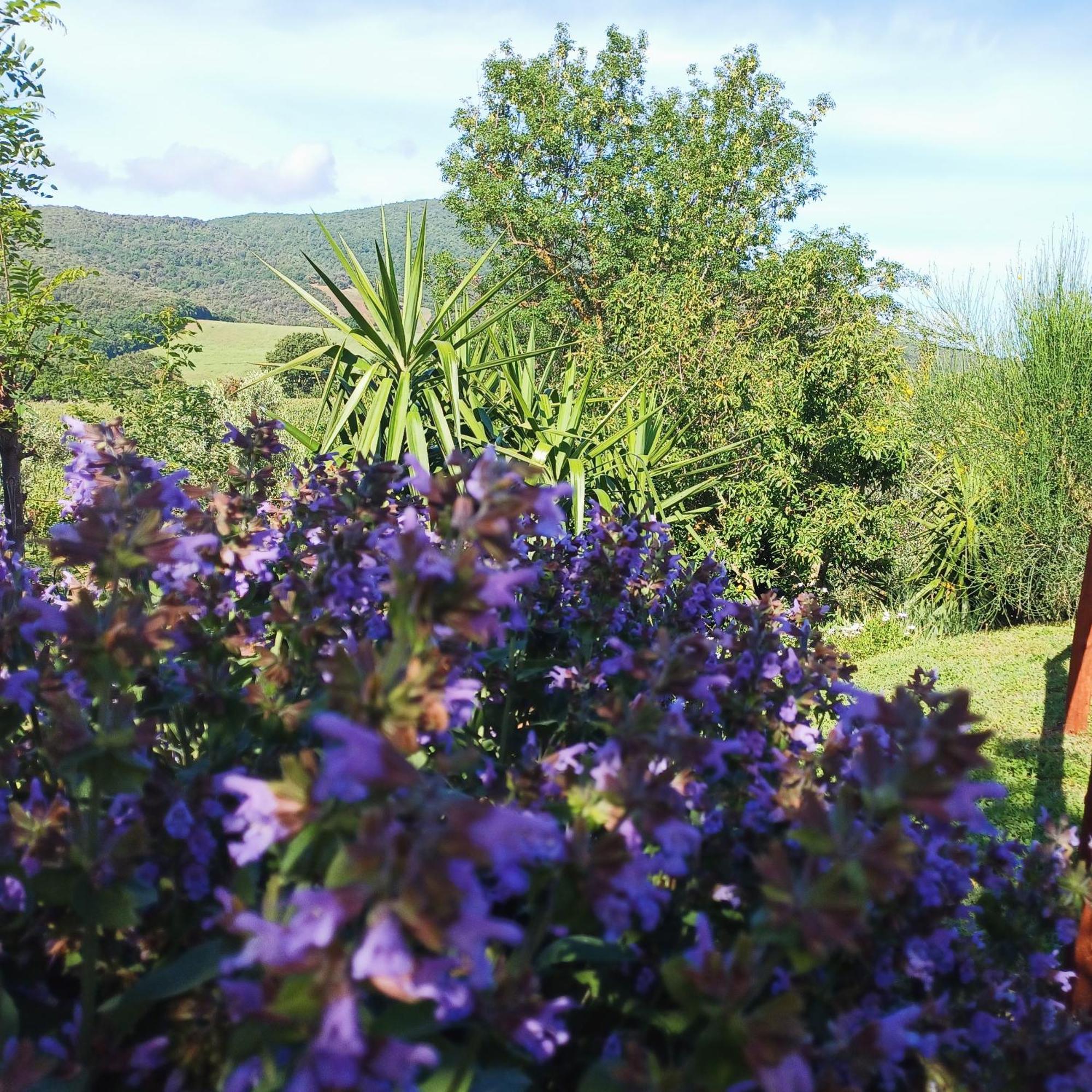 Agriturismo Colleverde 卡帕尔比奥 外观 照片