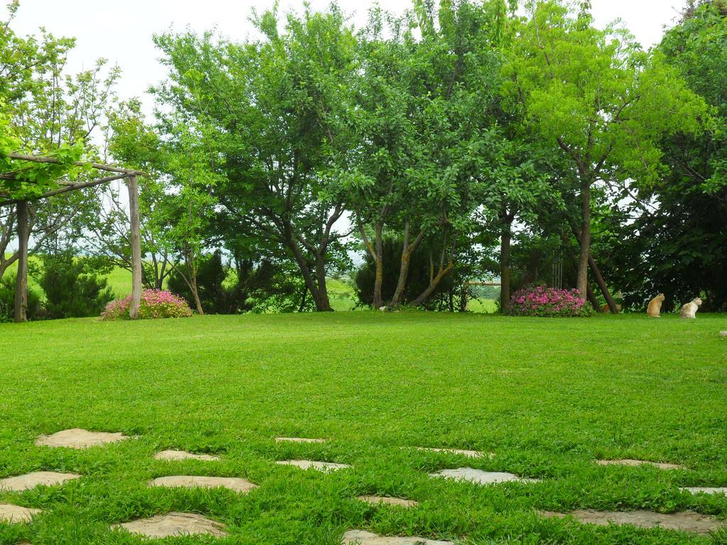 Agriturismo Colleverde 卡帕尔比奥 外观 照片