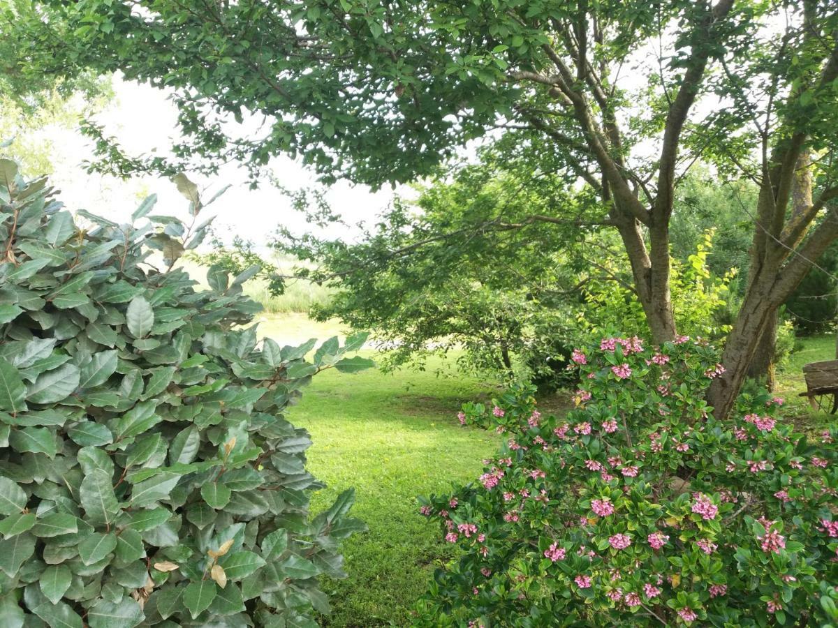 Agriturismo Colleverde 卡帕尔比奥 外观 照片